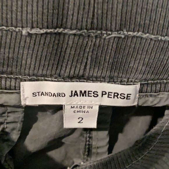 James Perse Sz 2 Cargo Material/Riding Pant Stitching - Picture 2 of 11